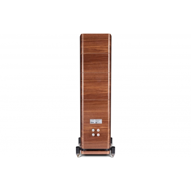 Wharfedale Elysian 4 orzech połysk