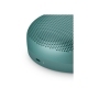 Bang & Olufsen Beosound A1  gen. 3 Eucalyptus Green