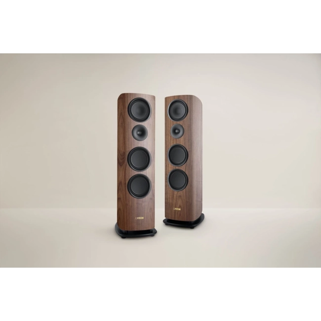 Canton Reference 5 GS Walnut Matt – produkt w wykończeniu Walnut Matt