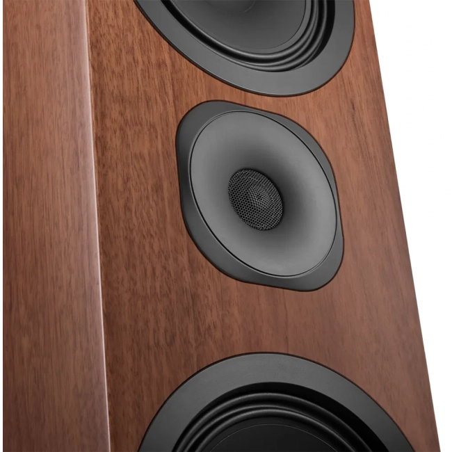 Canton Vento 101 Walnut Matt