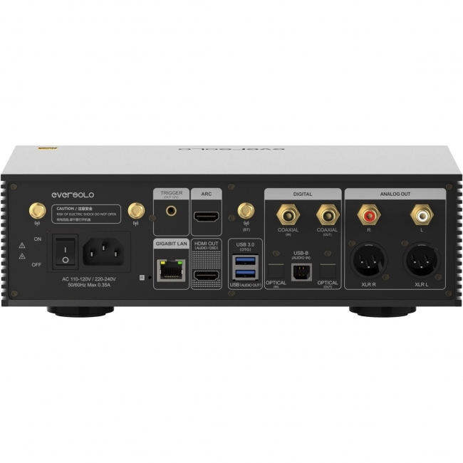 Eversolo DMP-A6 Master Edition gen.2 kolor czarny tył