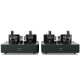 Fezz Lybra Mono Power Amplifier EVO Evergreen - Lampowa końcówka mocy – Fezz Lybra Mono Power Amplifier