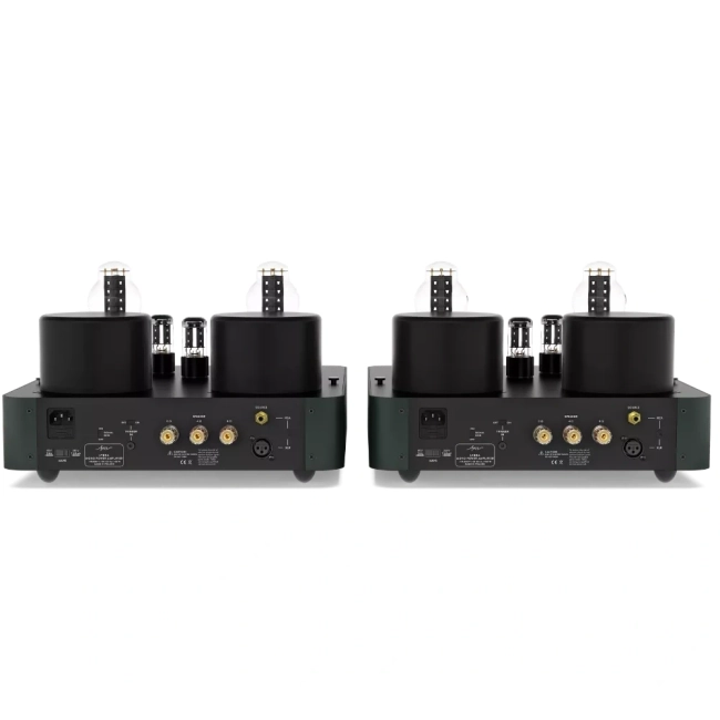 Fezz Lybra Mono Power Amplifier EVO Premium Evergreen - lampowa końcówka mocy – Fezz Lybra Mono Power