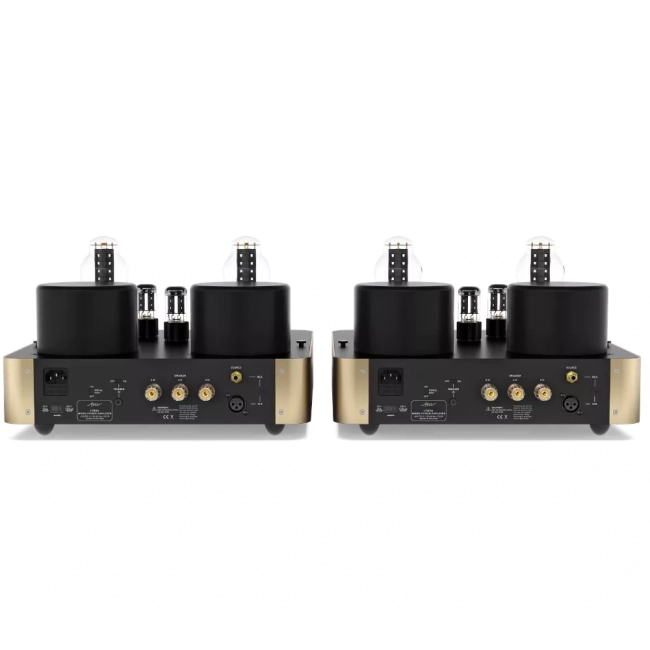 Fezz Lybra Mono Power Amplifier EVO Premium Sunlight - lampowa końcówka mocy – Fezz Lybra Mono Power