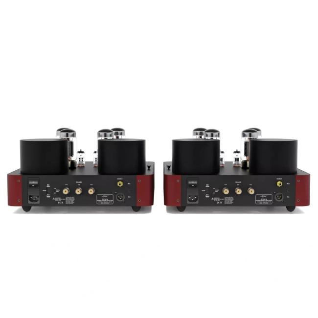 Fezz Olympia Mono Power Amplifier EVO Premium Big Calm
