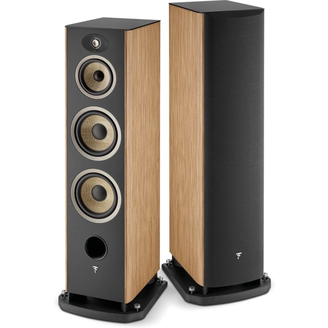 Focal Aria Evo X N4 orzech