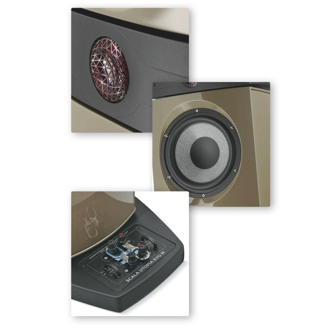 Focal Scala Utopia Evo M Natural Walnut – prezentacja produktu