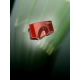 Hana Umami Red MC tło