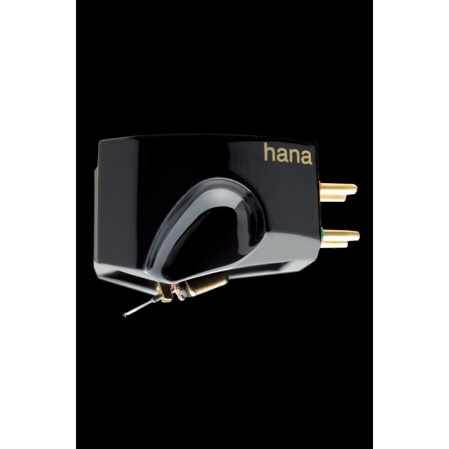 Hana Umami Black MC