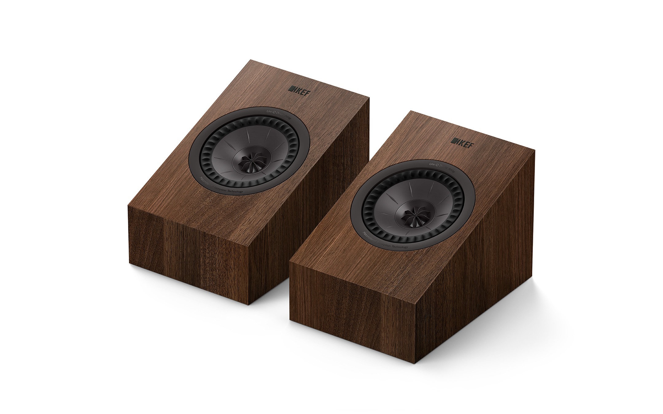 Kef Q8 Meta orzech 1
