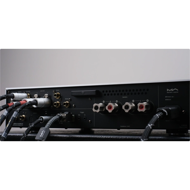 Matrix MD-1 / MD-1P music streamer integrated amplifier – fotografia produktowa urządzenia