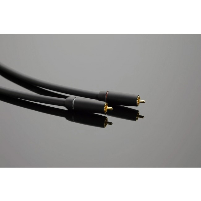 Transparent PLUS | Kabel sygnałowy RCA – zbliżenie wtyków RCA z pozłacanymi końcówkami