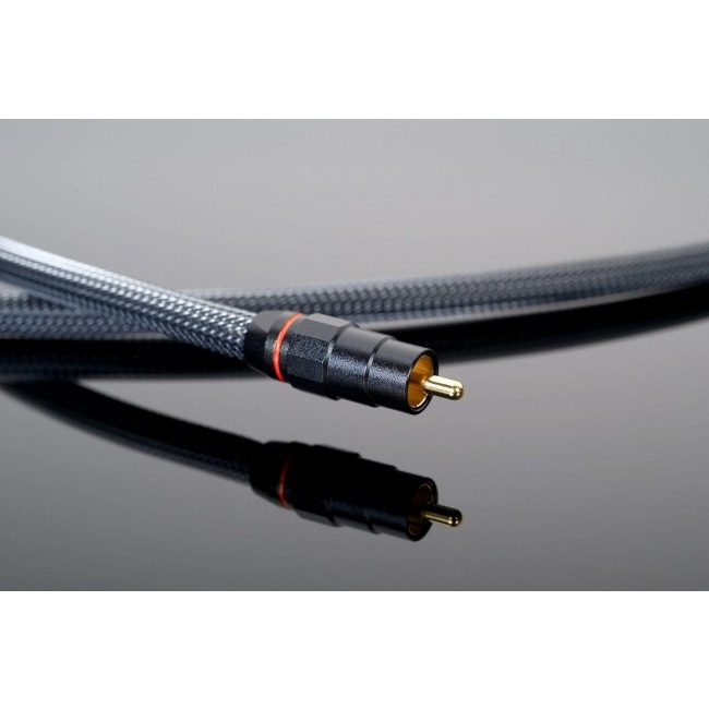 Transparent PREMIUM 75-ohm | Kabel cyfrowy RCA – zbliżenie na pozłacany wtyk RCA z czerwonym oznaczeniem