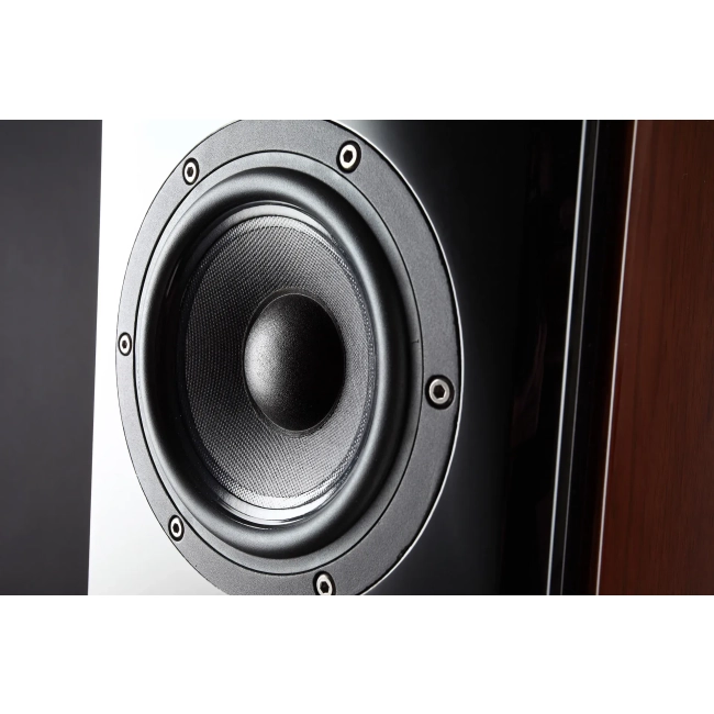 Usher Audio Technology SD-502 – zbliżenie na przetwornik niskotonowy i membranę głośnika