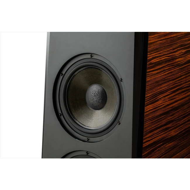 Usher Audio Technology TD-20 – kolumna podłogowa z serii Dancer TD