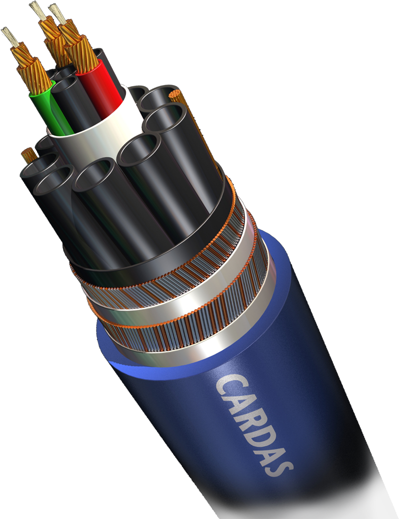Cardas Clear 1,5m RCA – transparentna wizualizacja 3D konstrukcji kabla