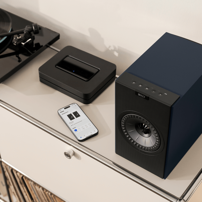 Kef Coda W - midnight blue
